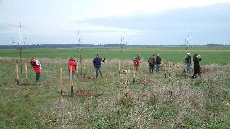 Pflanzaktion 2006 auf der Wiese bei Rösberg