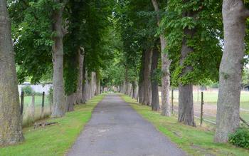 Gartenbaumeister/in (m/w/d) bzw. Gartenbautechniker/in (m/w/d) Gartenbaumeister/in (m/w/d) bzw. Gartenbautechniker/in (m/w/d)