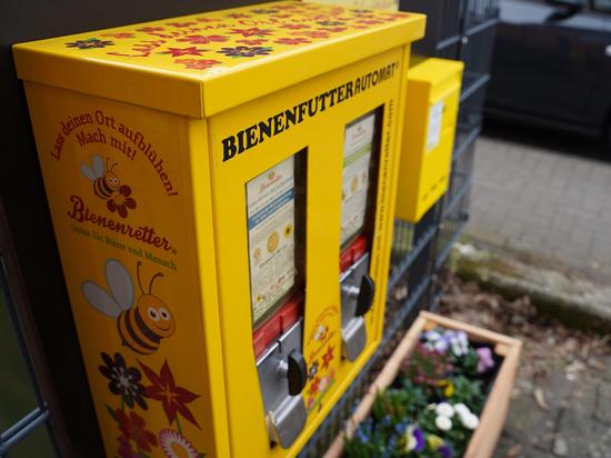 Bienenfutterautomat