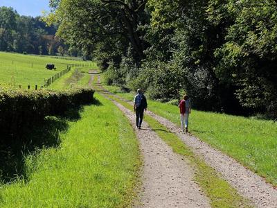 Fortbewegung zu Fuß schont die Umwelt und hält fit