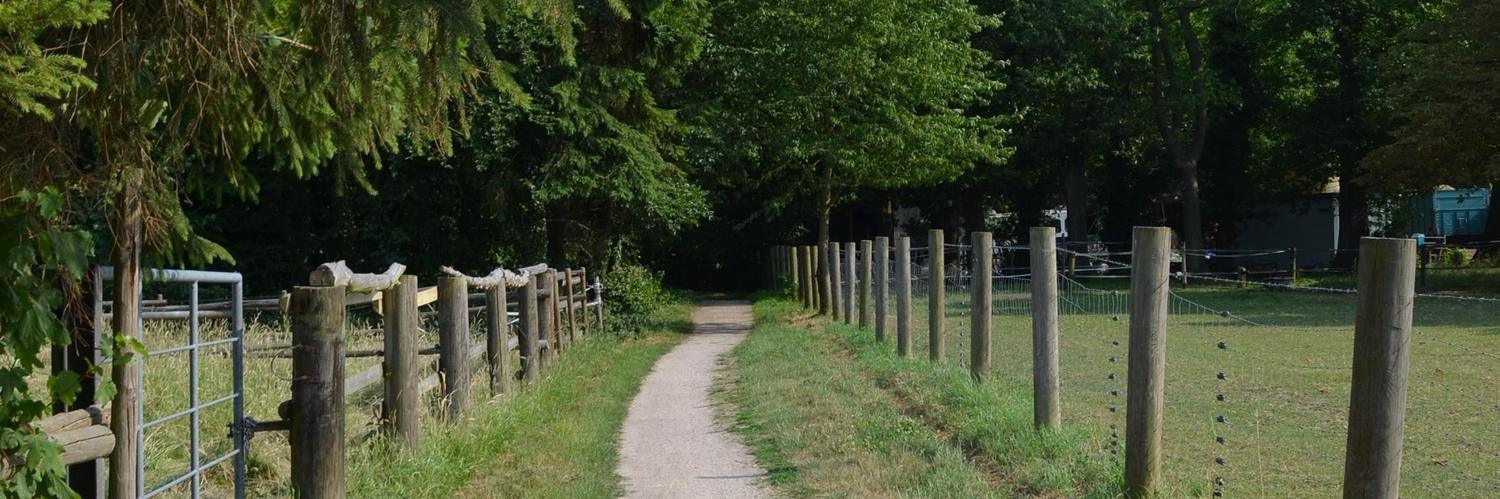 Der Heinrich-Böll-Weg führt auf den Spuren des Literaturnobelpreisträgers drei Kilometer durch Merten und Rösberg.