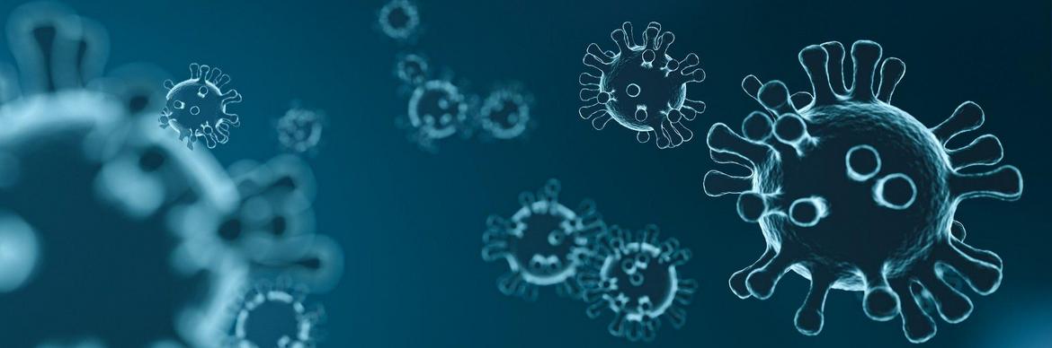 Coronavirus (Symbolbild)
