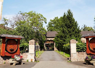 Grafik Kölscher Nachmittag am Rhein