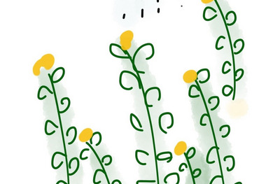 Blumen gießen