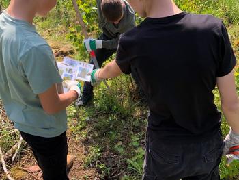 Schülerinnen und Schüler forsten Waldstück auf