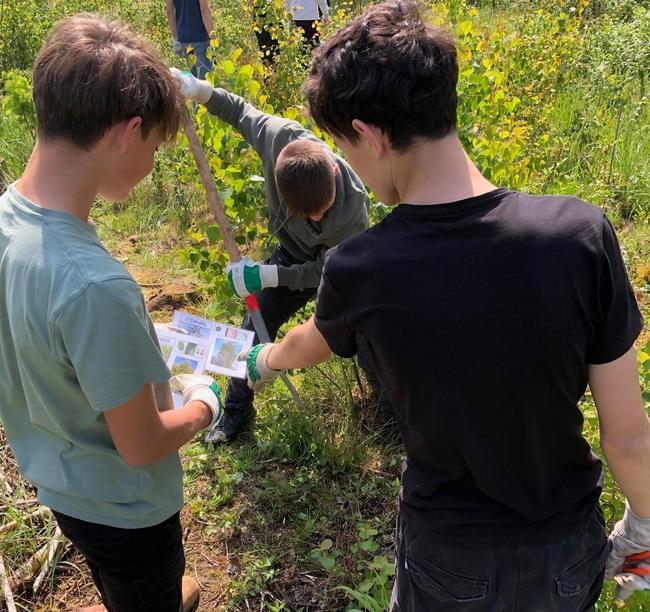 Schülerinnen und Schüler forsten Waldstück auf