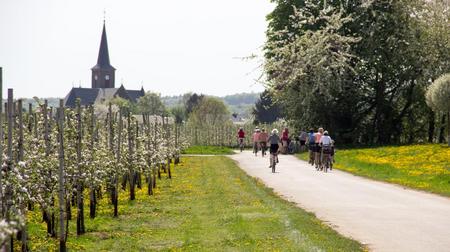 Radler steuern auf der rheinischen APFELROUTE gezielt Sehenswürdigkeiten an. FOTO: RHEIN-VOREIFEL TOURISTIK E.V.