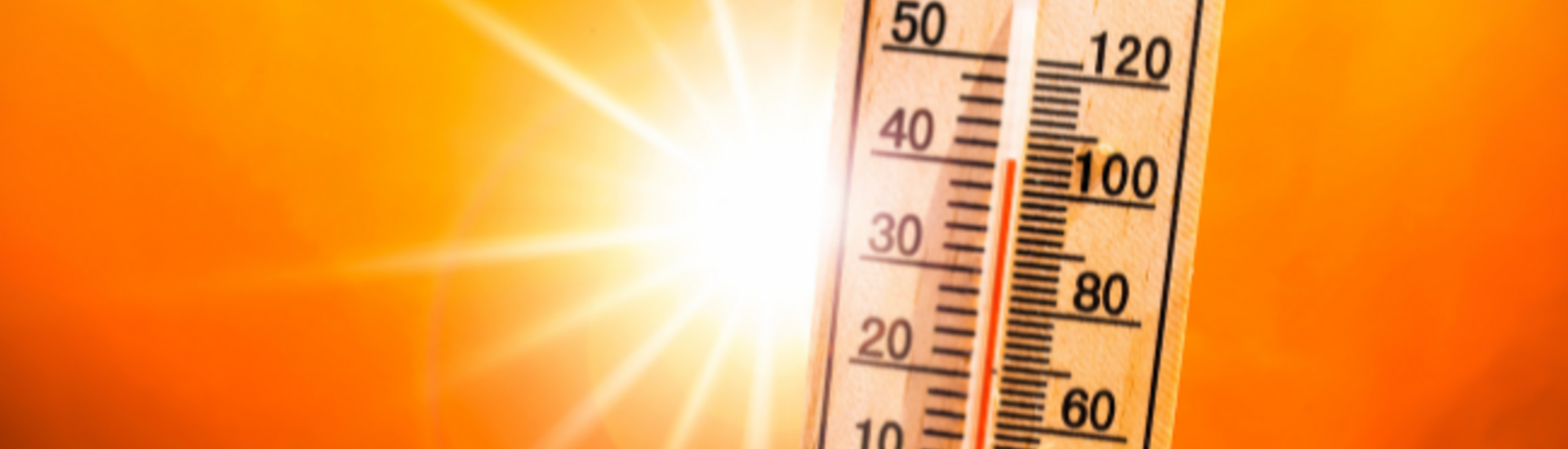 Sommer Sonne Hitze