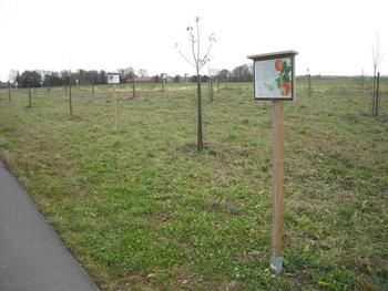 Lebendes Obstbaum-Museum