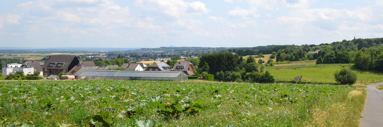 Heinrich-Böll-Weg: Aussicht von der Martinstraße