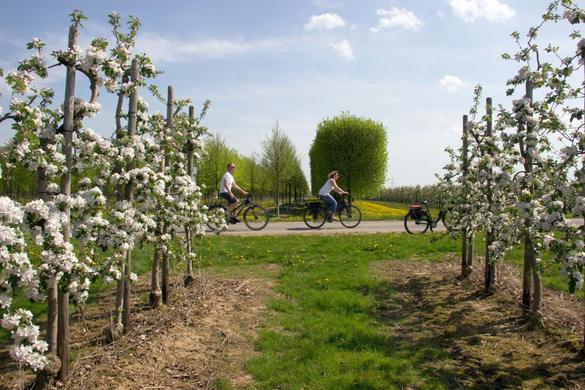 FOTO: RHEIN-VOREIFEL TOURISTIK E.V. 