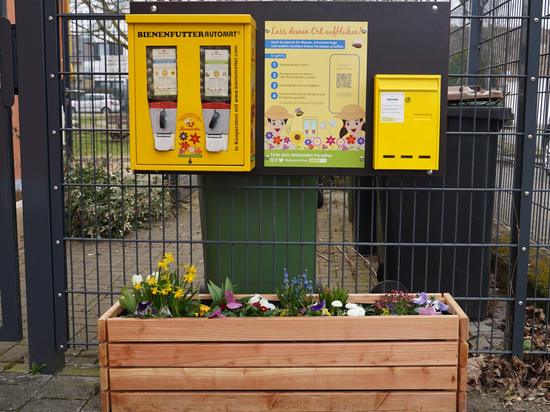 Bienenfutterautomat