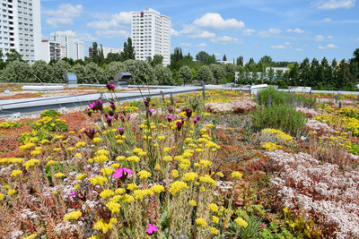 Quelle: Bundesverband Gebäudegrün