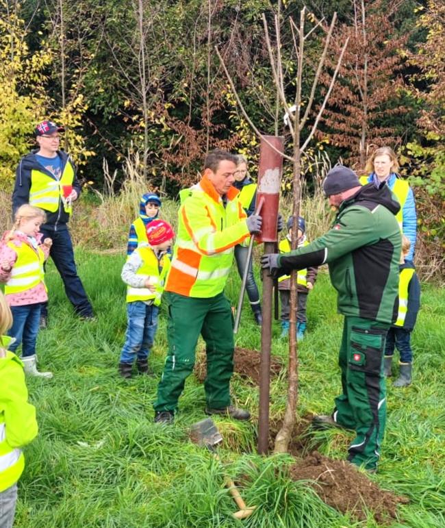 Kirschbäume erinnern Vorschulkinder auf der städtischen Streuobstwiese in Hersel an die gemeinsame Kita-Zeit