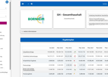 Interaktiver Haushalt der Stadt Bornheim