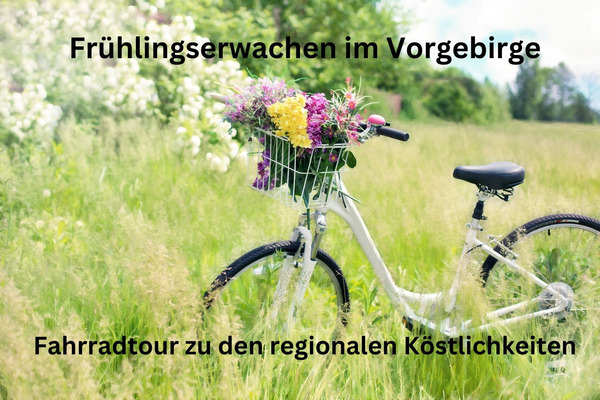 Das Bild konnte nicht geladen werden