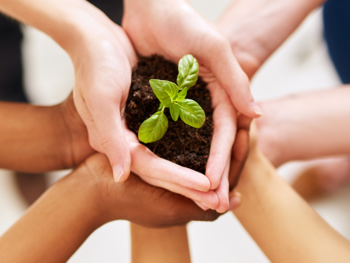 Nachhaltigkeit Mitmachen Nachhaltigkeit Mitmachen