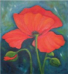 Mohn, Öl, 50 x 60 cm