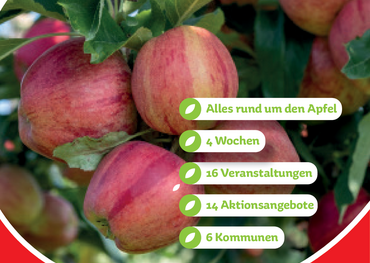 Plakat Apfelwochen entlang der rheinischen Apfelroute
