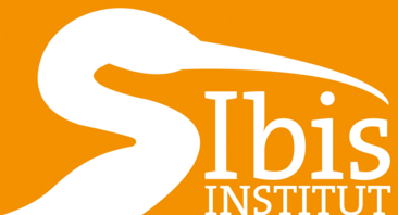 Logo Ibis Institut