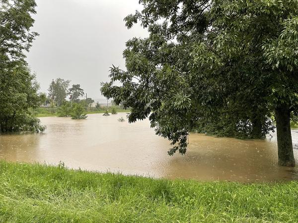 … und bis zum Rand mit Wasser gefüllt