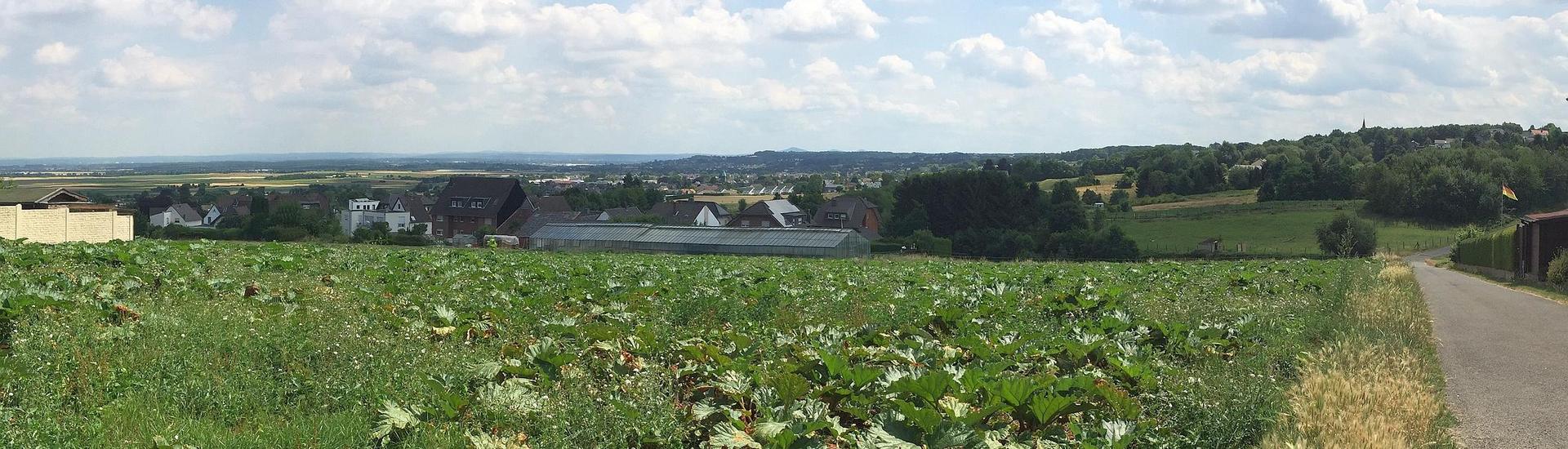 Heinrich-Böll-Weg Panorama