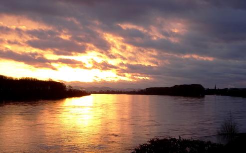 Morgenröte am Rhein. FOTO: MICHAEL PACYNA