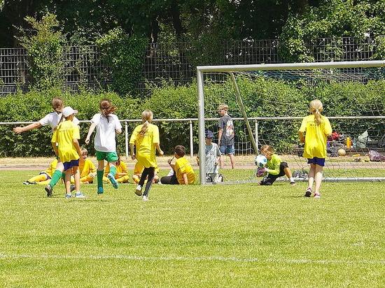 Bornheimer Fußball-Grundschul-Cup 2023
