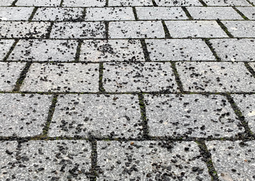 Streuen im Winter