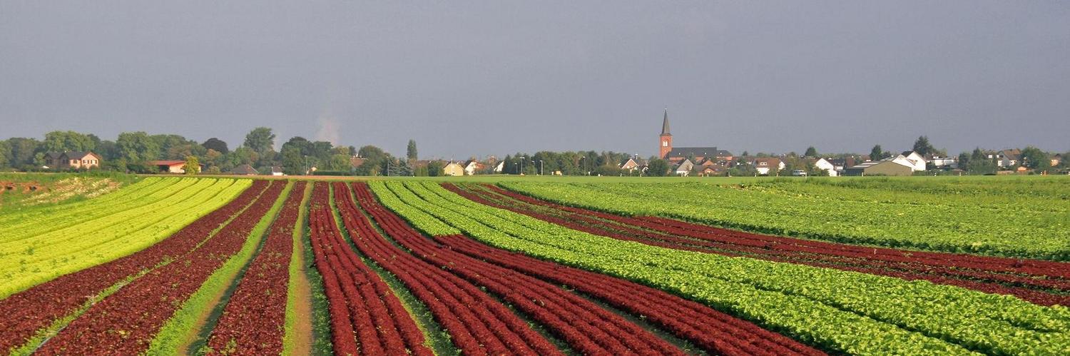 Bornheim Landschaft