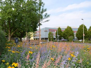 Schulen in Bornheim