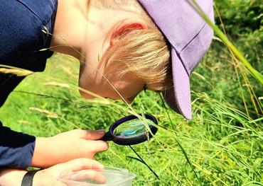 Beim Sommerferienprogramm der Stadt Bornheim gab es einiges zu entdecken