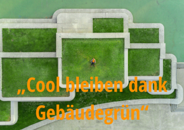 Cool bleiben dank Gebäudegrün
