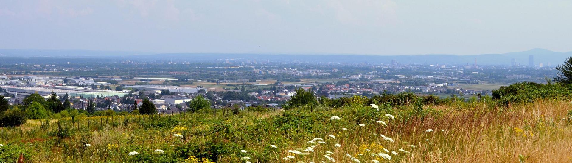 Bornheim Panorama